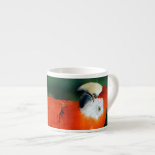 Scarlet Macaw Espresso Cup
