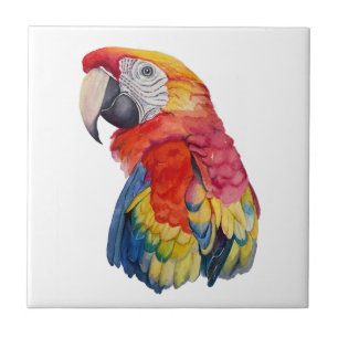 Scarlet Macaw – Expressive Watercolor Bird Art Ceramic Tile