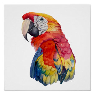 Scarlet Macaw – Expressive Watercolor Bird Art Poster