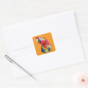 Scarlet Macaw – Expressive Watercolor Bird Art Square Sticker