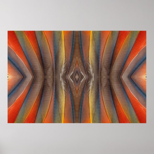Scarlet Macaw feather design Poster (Front)