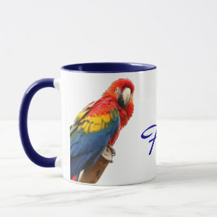 Scarlet Macaw Florida Ceramic Mug