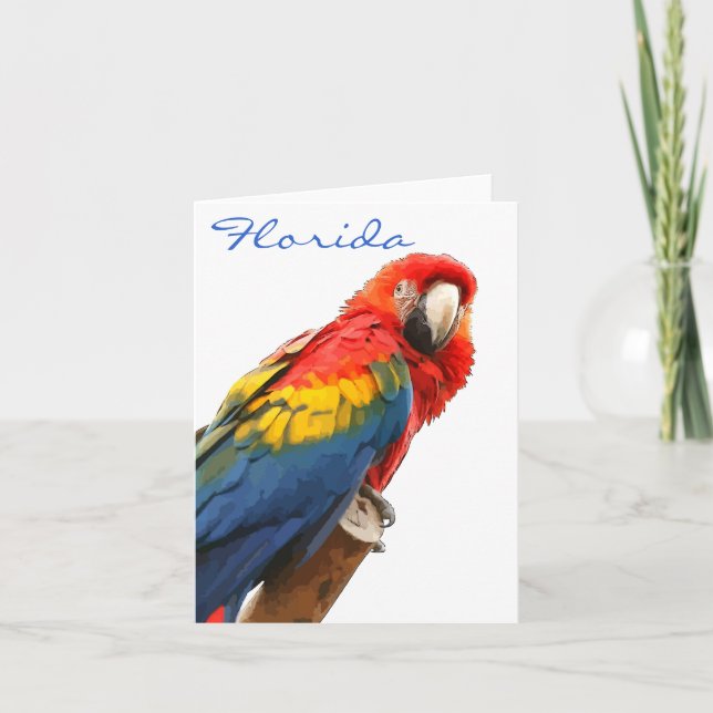 Scarlet Macaw Florida Note Card (Front)