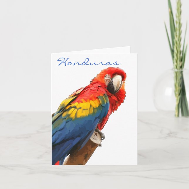 Scarlet Macaw Honduras Note Card (Front)