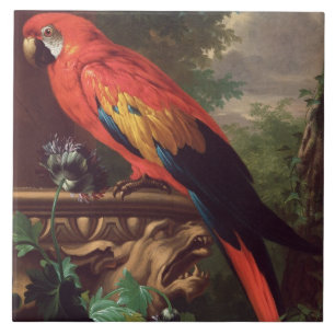 Scarlet Macaw in a Landscape (oil on canvas) Ceramic Tile