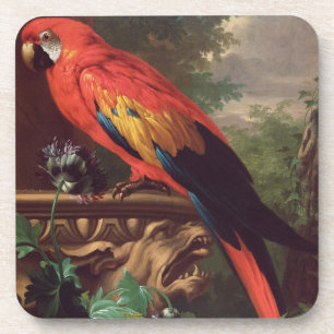Scarlet Macaw in a Landscape (oil on canvas) Coaster