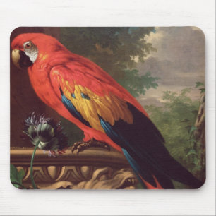 Scarlet Macaw in a Landscape (oil on canvas) Mouse Pad