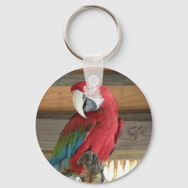 Scarlet Macaw Keychain (Front)