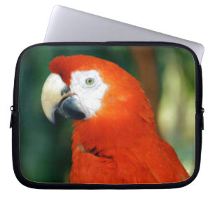 Scarlet Macaw Laptop Sleeve