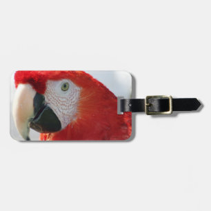 Scarlet Macaw Luggage Tag