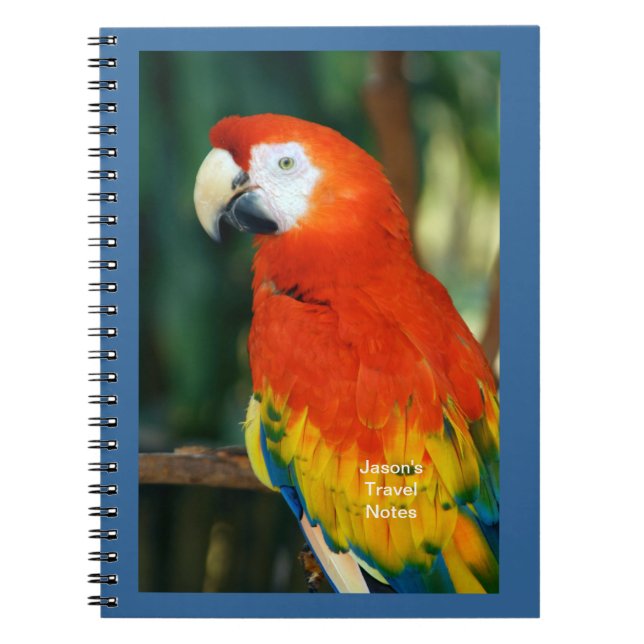 Scarlet Macaw Notebook (Front)