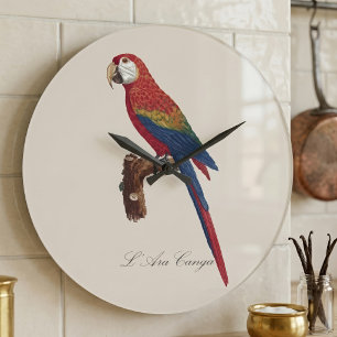 Scarlet Macaw or Red-Breasted Macaw, Ara macao Large Clock
