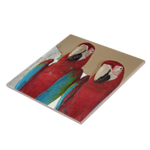 Scarlet Macaw Pair Tropical Tile Illustration