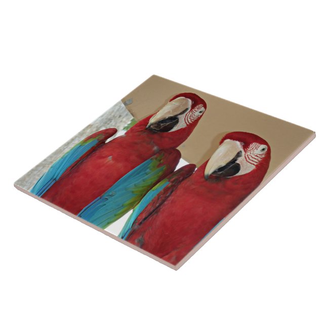 Scarlet Macaw Pair Tropical Tile Illustration (Side)