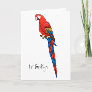 Scarlet macaw parrot cartoon illustration card