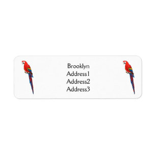 Scarlet macaw parrot cartoon illustration return address label