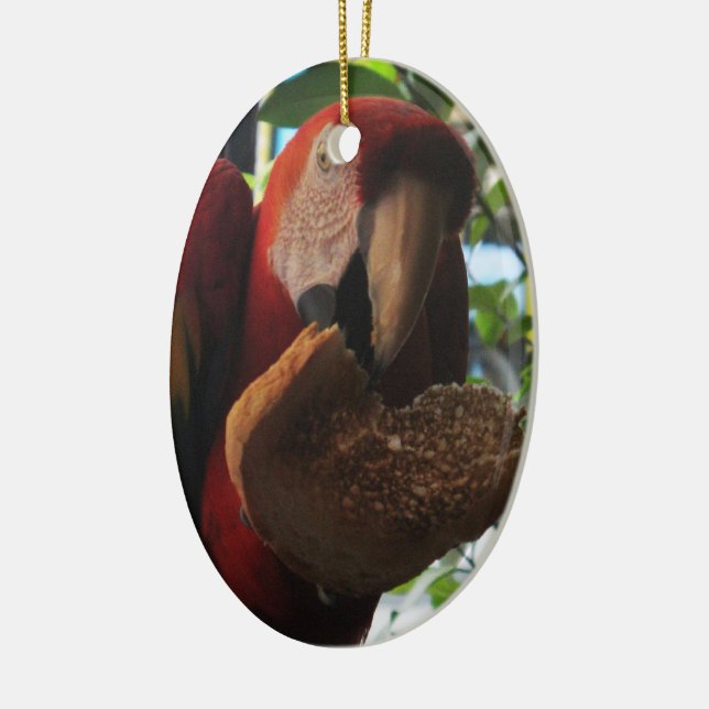 Scarlet Macaw Parrot Eating Toast Ceramic Ornament (Left)