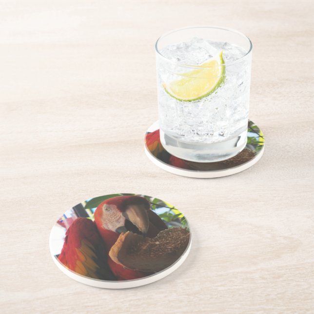 Scarlet Macaw Parrot Eating Toast Coaster (Side)
