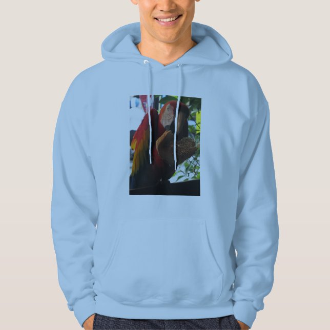 Scarlet Macaw Parrot Eating Toast Hoodie (Front)