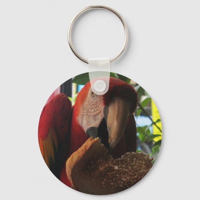 Scarlet Macaw Parrot Eating Toast Key Ring (Front)
