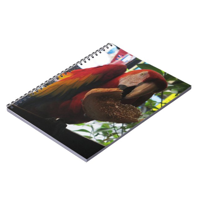 Scarlet Macaw Parrot Eating Toast Notebook (Left Side)