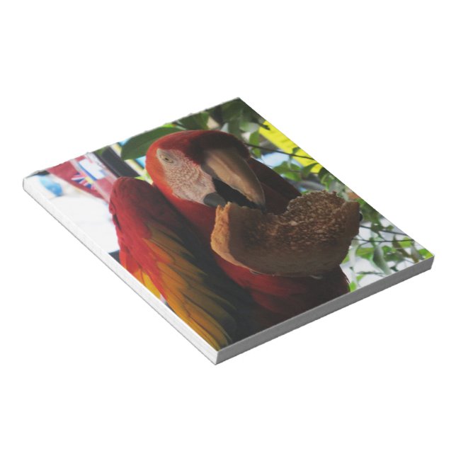Scarlet Macaw Parrot Eating Toast Notepad (Angled)