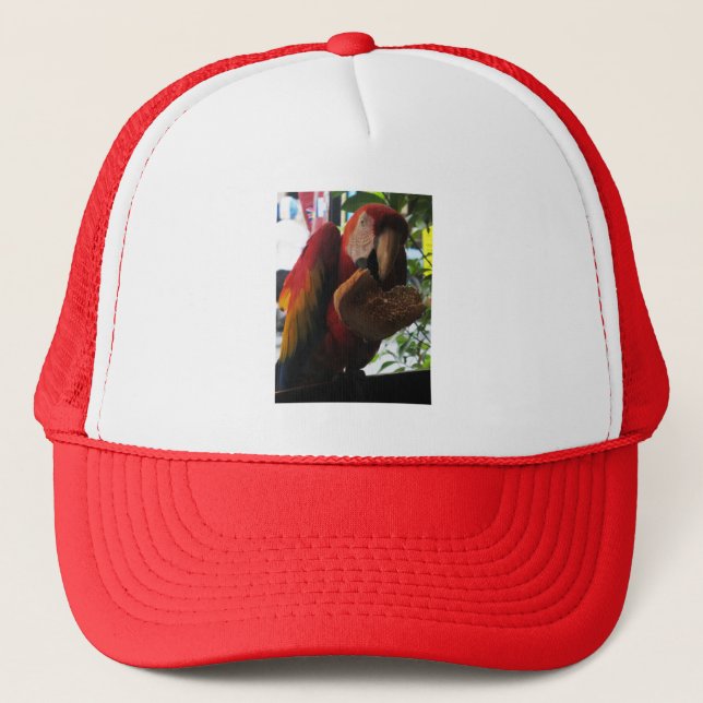 Scarlet Macaw Parrot Eating Toast Trucker Hat (Front)