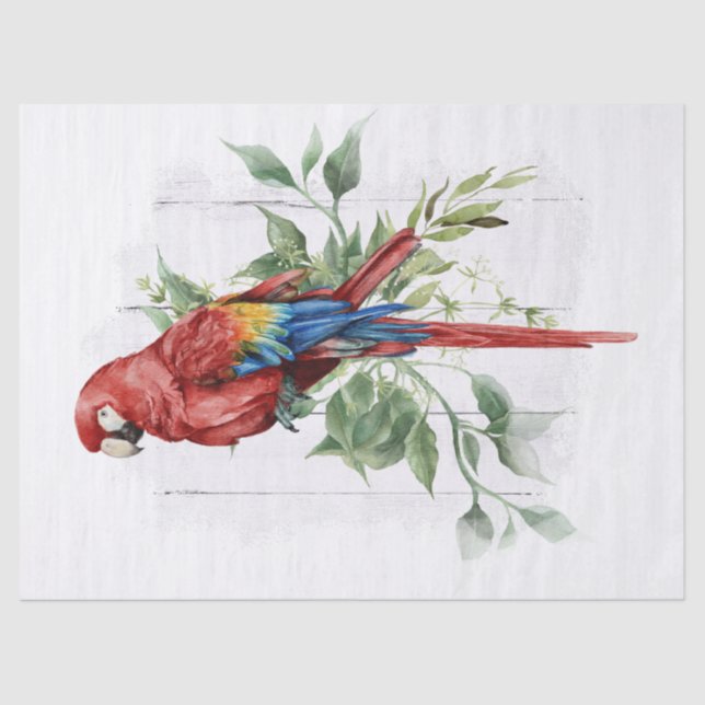 Scarlet Macaw Parrot Eucalyptus Watercolor Tissue Paper (Front)