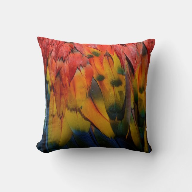 Scarlet Macaw Parrot Feathers Textured Tropical Cushion (Front)