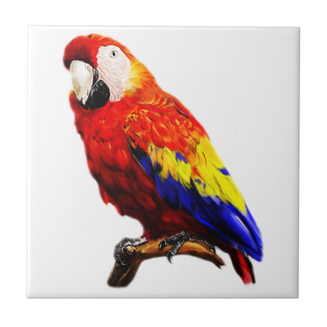 Scarlet Macaw Parrot on A Branch Ceramic Tile (Front)