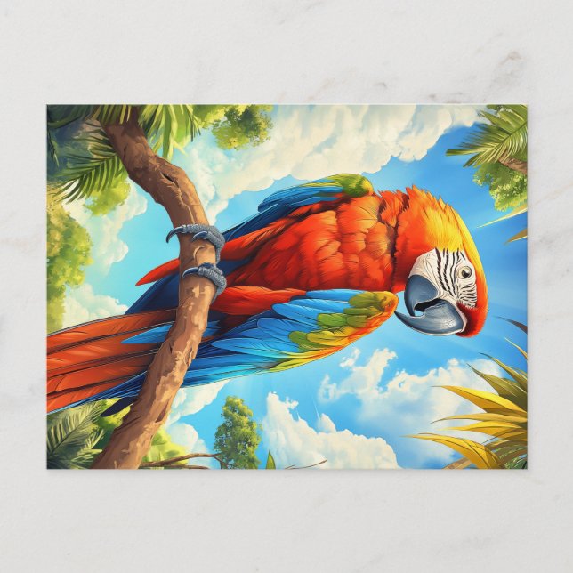 Scarlet macaw postcard (Front)