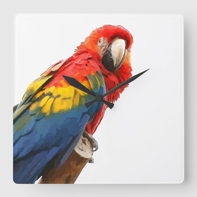 Scarlet Macaw Square Wall Clock (Front)