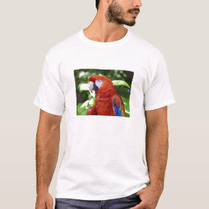 Scarlet Macaw T-Shirt