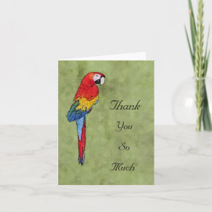 Scarlet Macaw Thank You Notecard