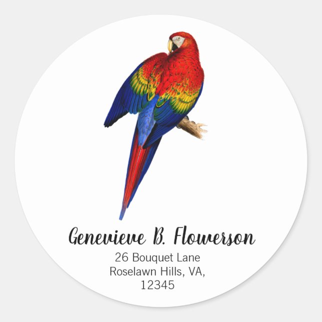 Scarlet Macaw Tropical Colourful Rain Forest Bird Classic Round Sticker (Front)