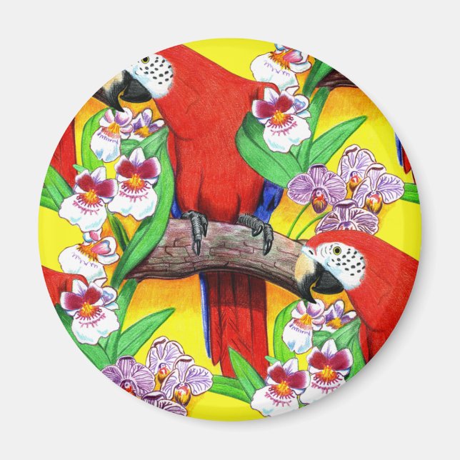 Scarlet McCaw Magnet (Front)