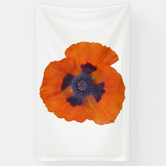 Scarlet Orange Poppy 1 Banner