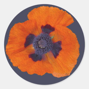 Scarlet Orange Poppy 1 Classic Round Sticker