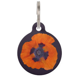 Scarlet Orange Poppy 1 Pet Tag