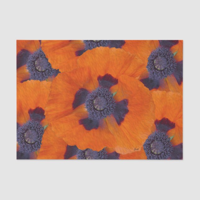 Scarlet Orange Poppy 1 Tissue Paper (Front)