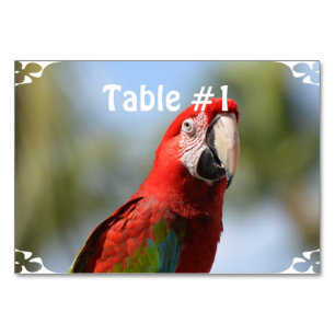 Scarlet Red Macaw Table Number