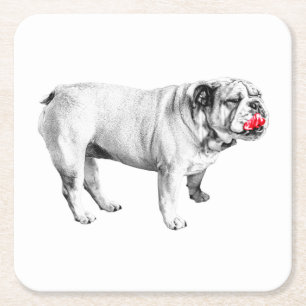 scarlet rest guard, bulldog square paper coaster