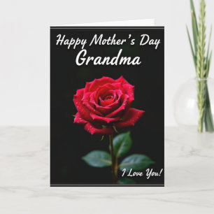 Scarlet Rose Sweet Mothers Day Card