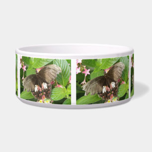 Scarlet Swallowtail Butterfly Macro Dog Bowl