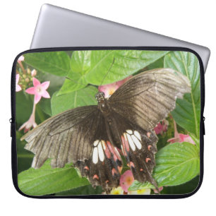 Scarlet Swallowtail Butterfly Macro Laptop Sleeve