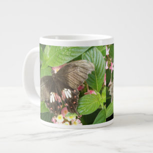 Scarlet Swallowtail Butterfly Macro Mug