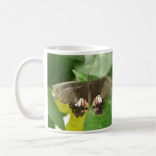 Scarlet Swallowtail Butterfly Mug
