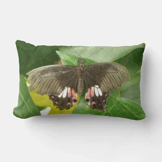 Scarlet Swallowtail Butterfly Pillow (Front)