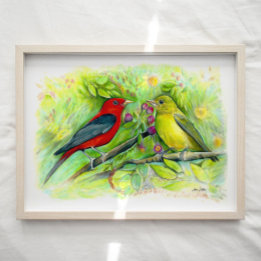 Scarlet Tanager Birds Watercolor Art Print