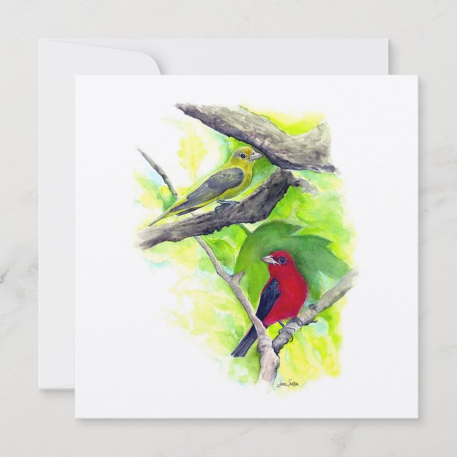 Scarlet Tanager Couple Art (Front)